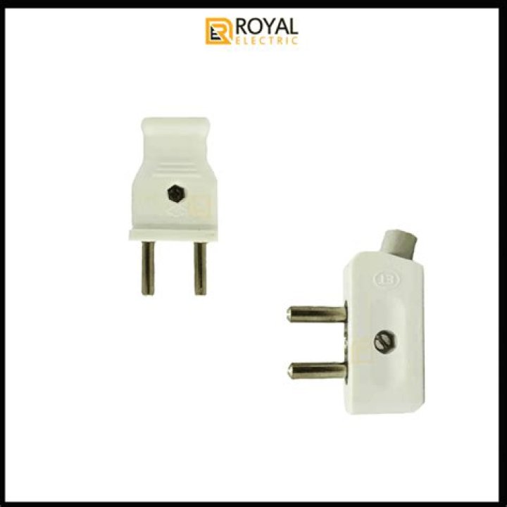 2 pin plug