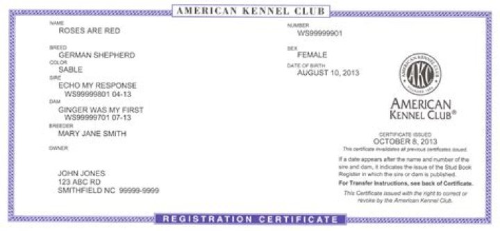 akc registered