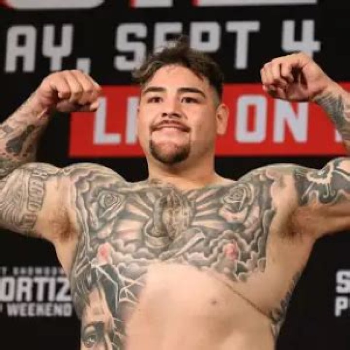 andy ruiz net worth