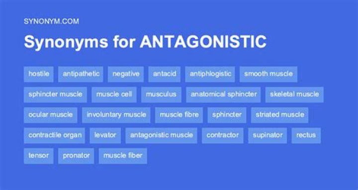 antagonist synonym
