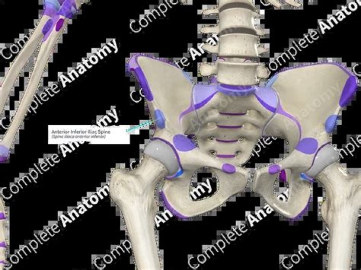 anterior inferior iliac spine