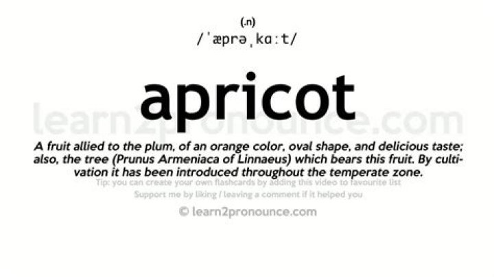 apricot pronunciation