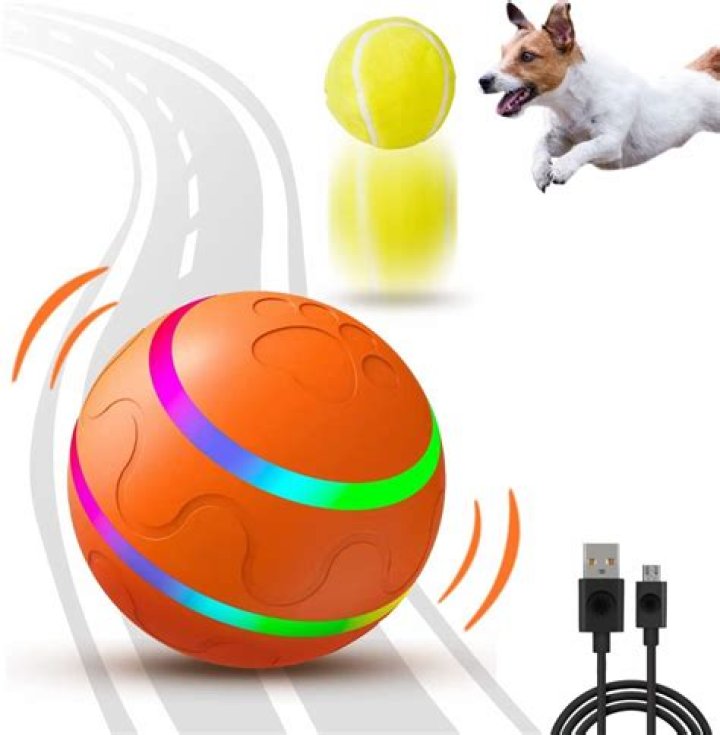 best interactive dog toys