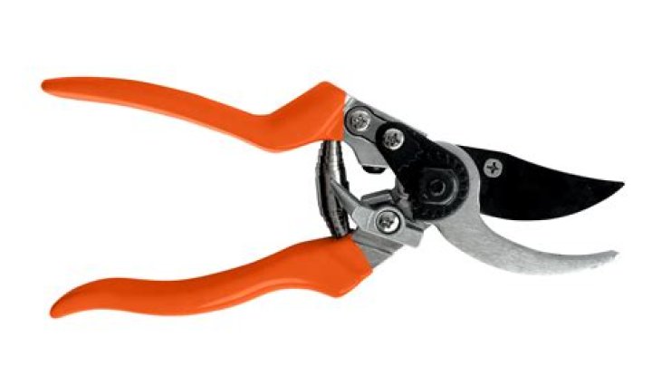 best secateurs