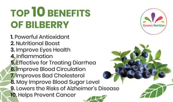 bilberry benefits
