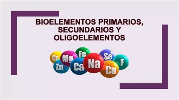 bioelementos secundarios