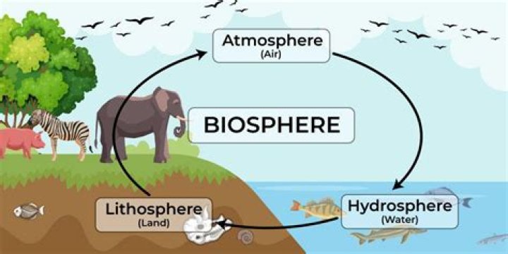 biosphere definition biology