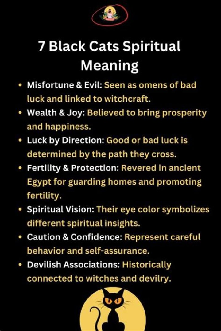black cat spiritual meaning