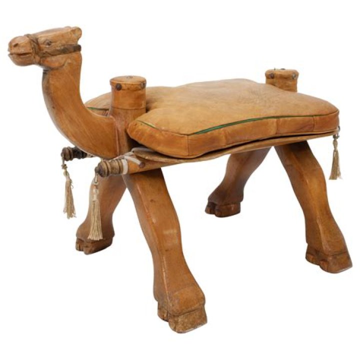 camel saddle