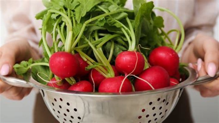 can you eat radish greens