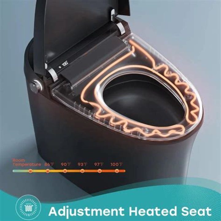 can you get chlamydia from a toilet seat