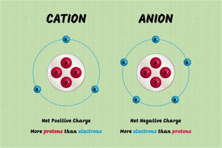 cations and anions