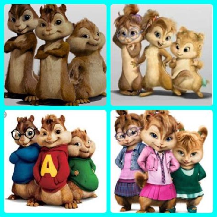 chipettes