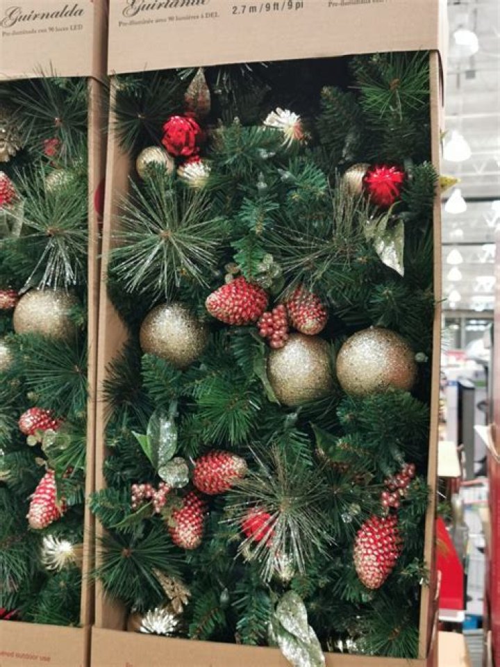 costco garland