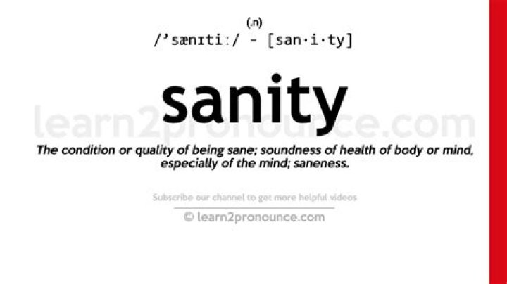define sanity