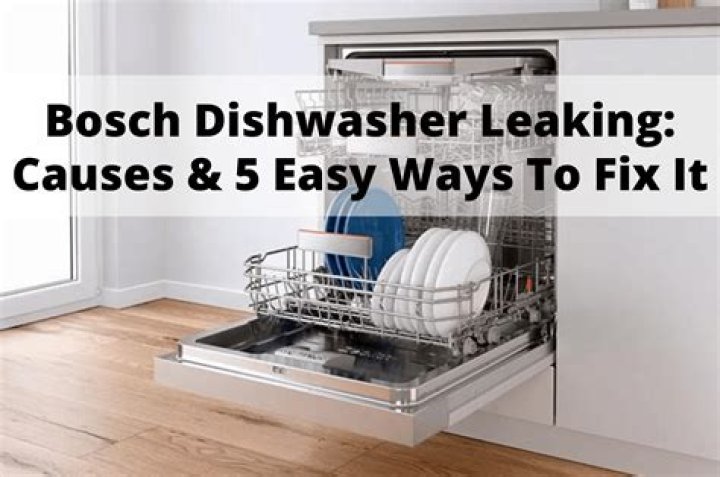 dishwasher leaking from bottom