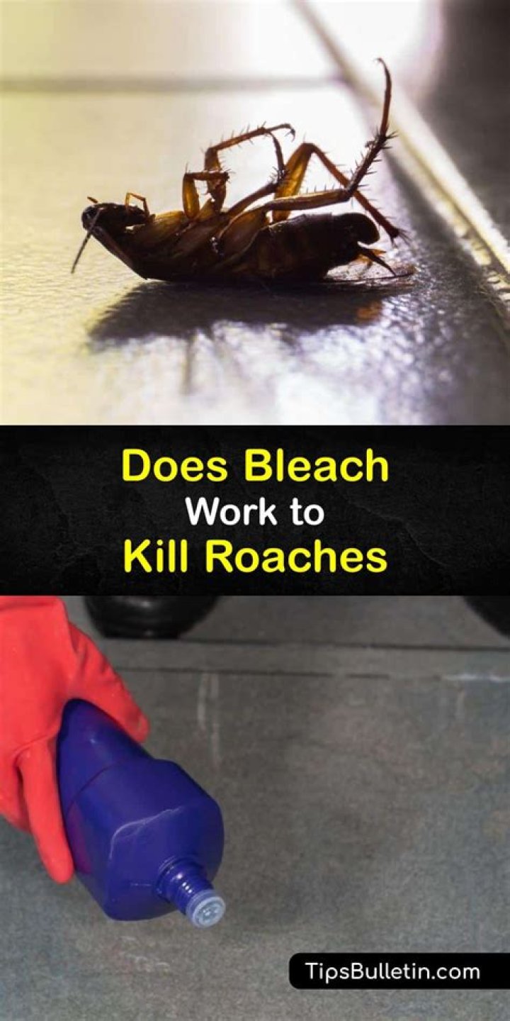 does bleach kill roaches