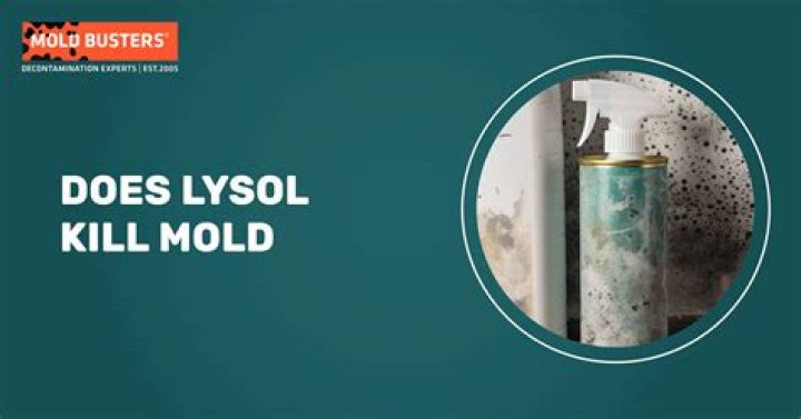 does lysol kill mold