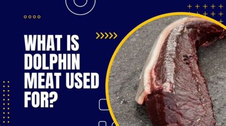 dolphin meat