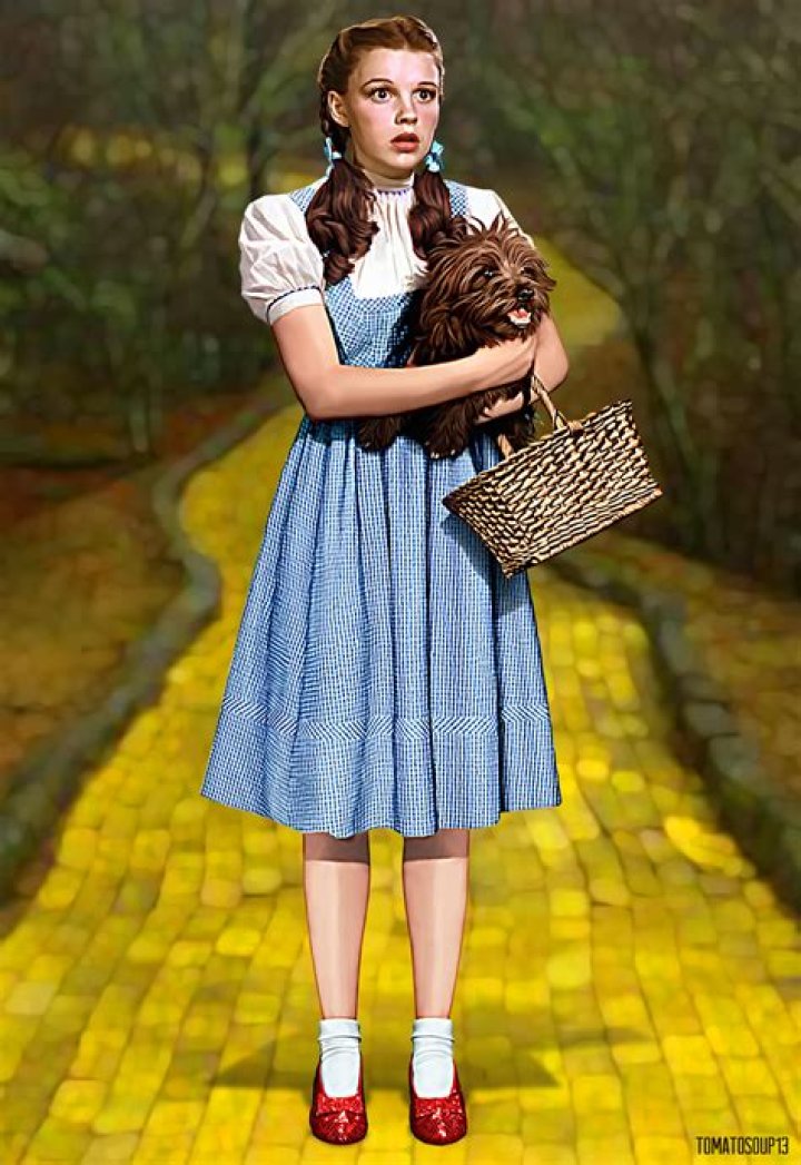 dorothy and toto