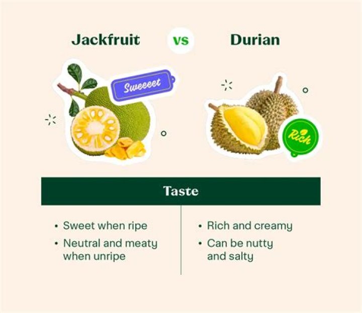 durian taste