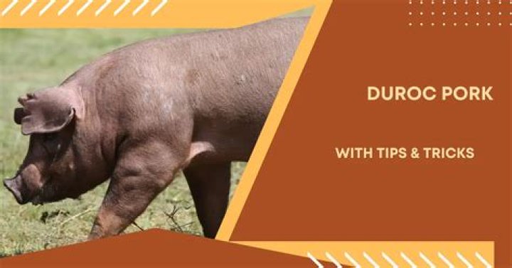 duroc pork