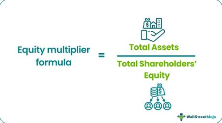 equity multiplier