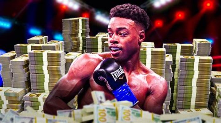 errol spence net worth