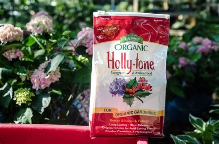 fertilizer for hydrangeas