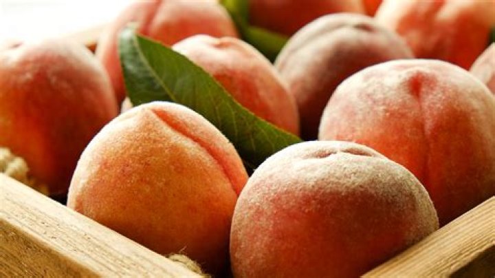 freestone peaches