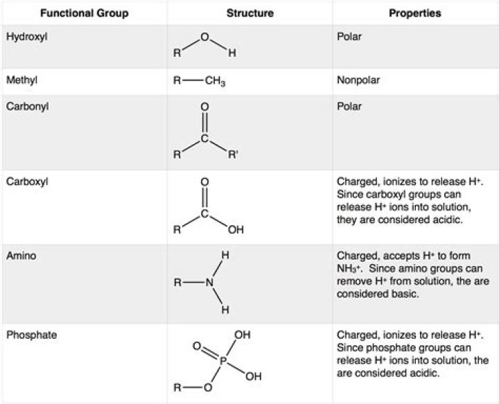 functional groups biology