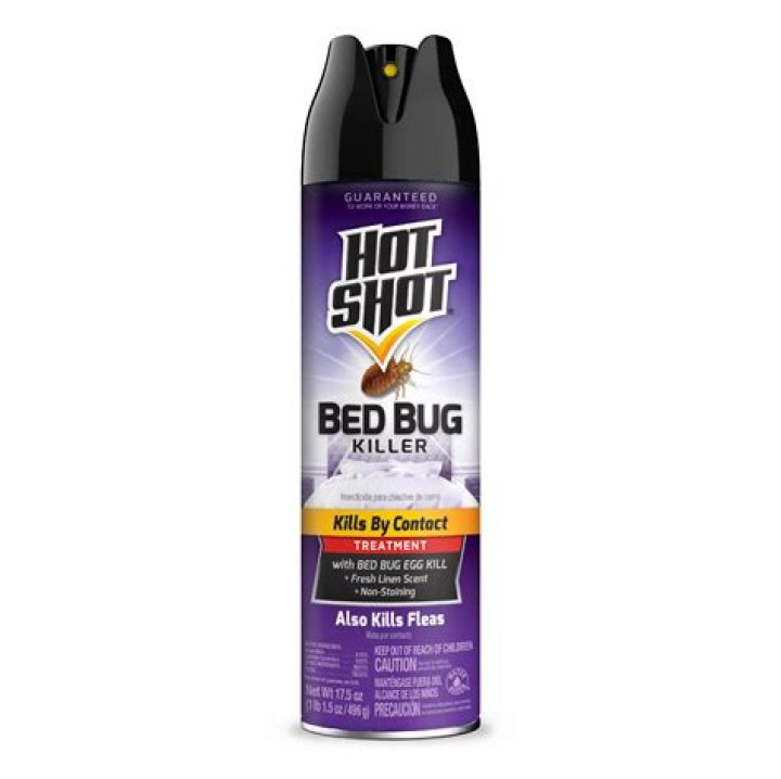 hot shot bed bug killer