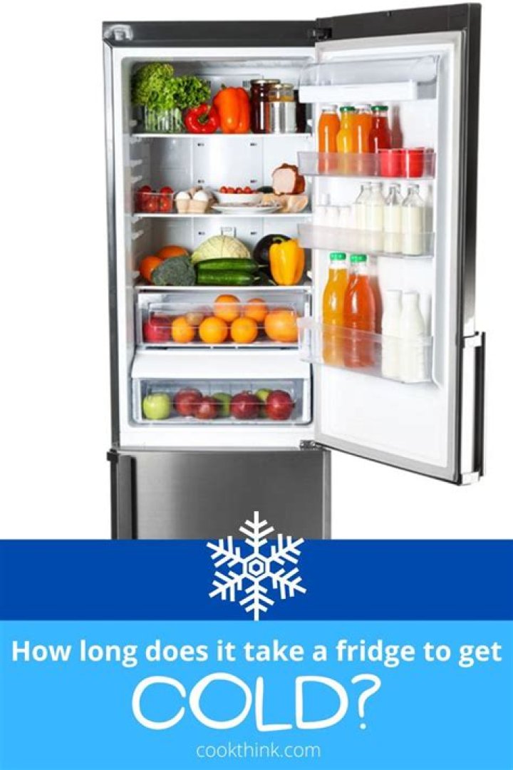 how long does it take a fridge to get cold
