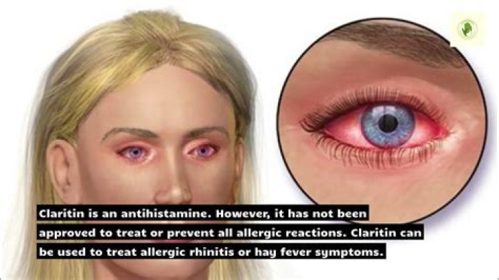 how long does it take for claritin to work