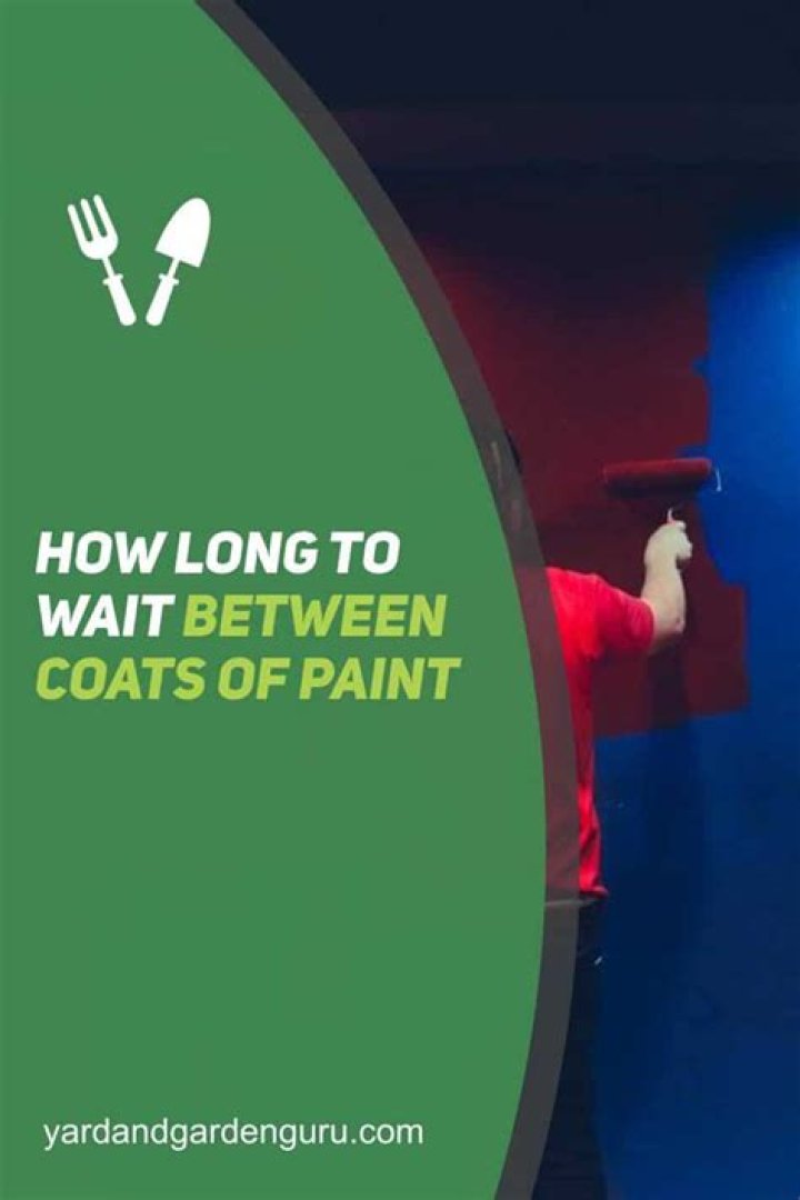 how long to wait between coats of paint
