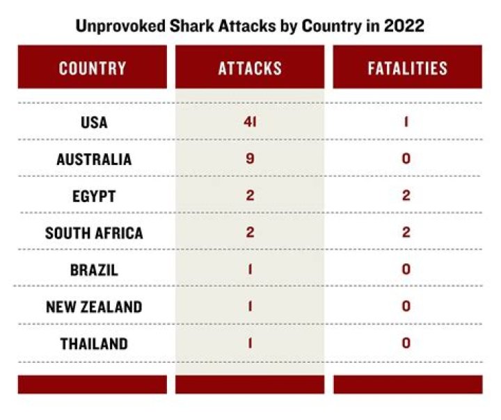 how many shark attacks per year