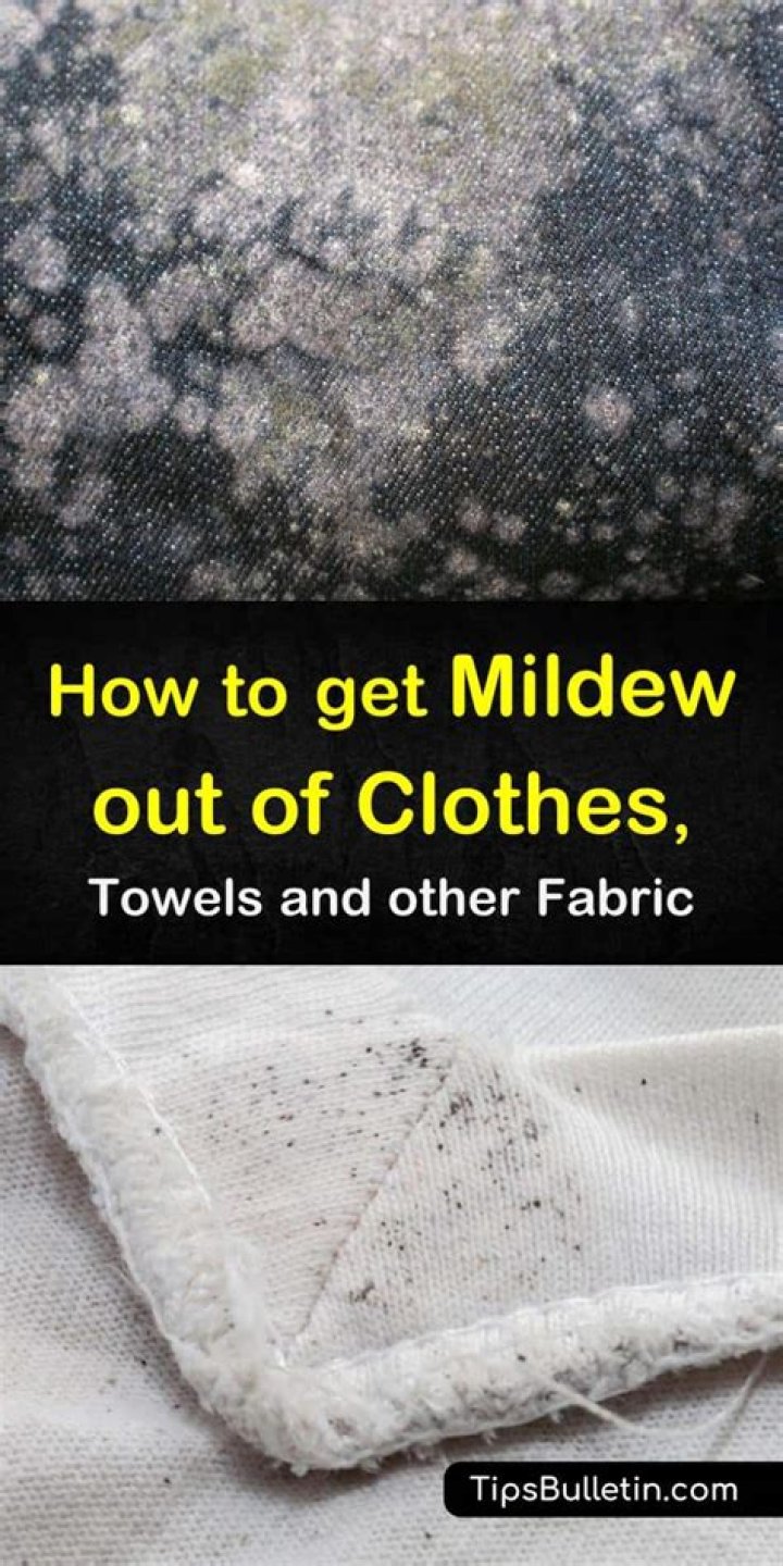how to get mildew out of clothes