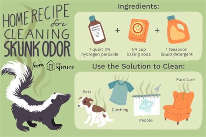 how to get rid of skunk smell in house