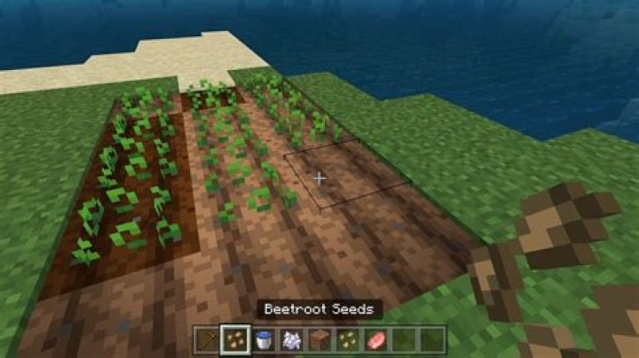how to plant seeds in minecraft