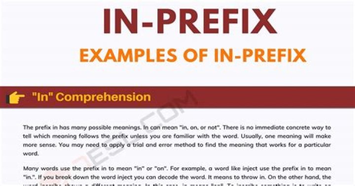 in prefix meaning