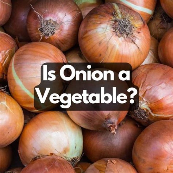 is an onion a vegetable