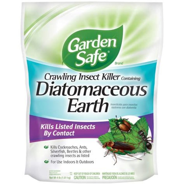 is diatomaceous earth safe