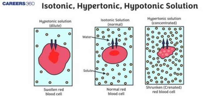 isotonic hypertonic hypotonic