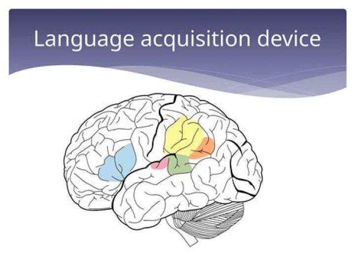 language acquisition device