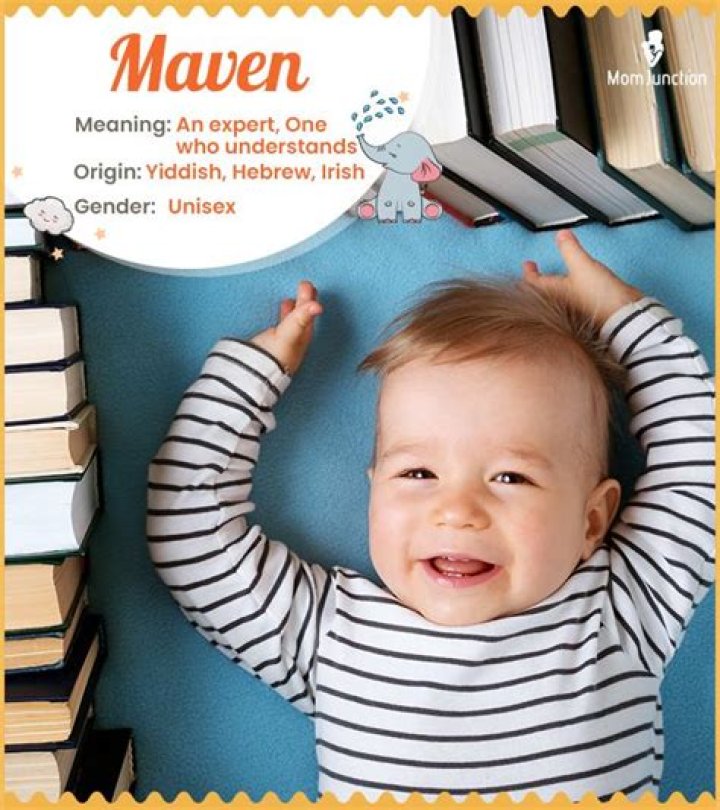 maven meaning