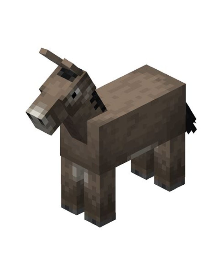 minecraft donkey