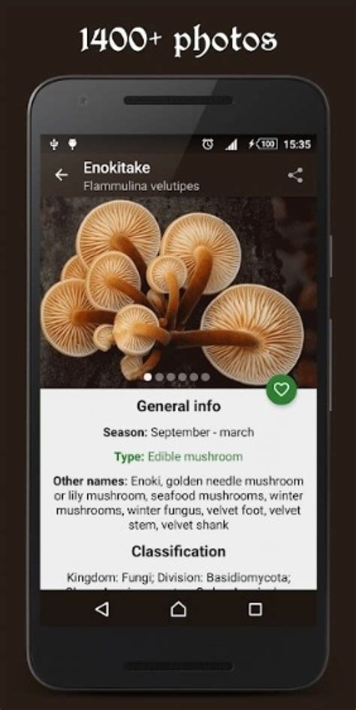 mushroom identification app