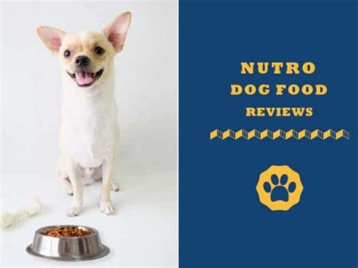 nutro dog food reviews