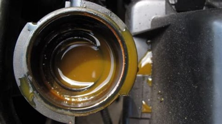 oil in coolant