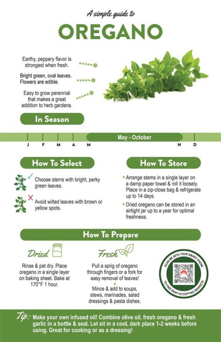 oregano in english